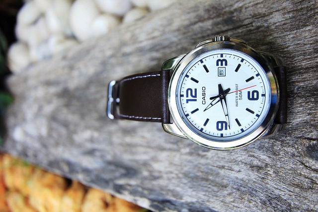 Qué tan buena es la marca Fossil 31 g8aef867e406430a45056a0a289fa4e7190593027daea8b59da96adde5a656eedd565967b617f51790bbcc7c97314c7998b4b1d0e9c1960e1abcbea4728d65f1e 640