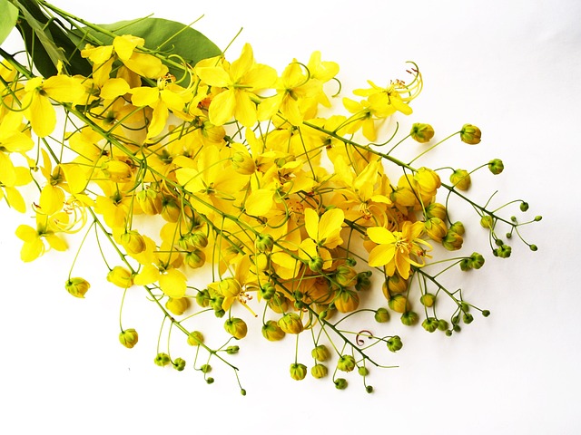 Dónde fabrican la marca Fossil 1 g7e003ea6e9faa25e56310f11da346e7eb0912b4c29709937ffac0b3af1a7cdfeddb629f21a0eb9d47cf40fdab41199c9d92c1bec18bf0649a986b3fbbefef4b8 640